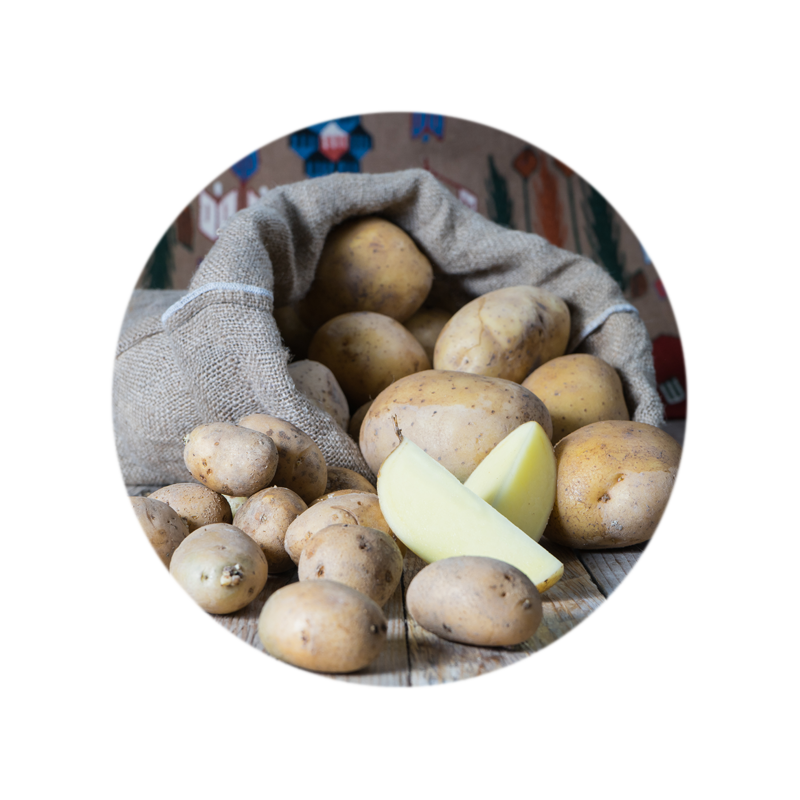 Şuhut Potato